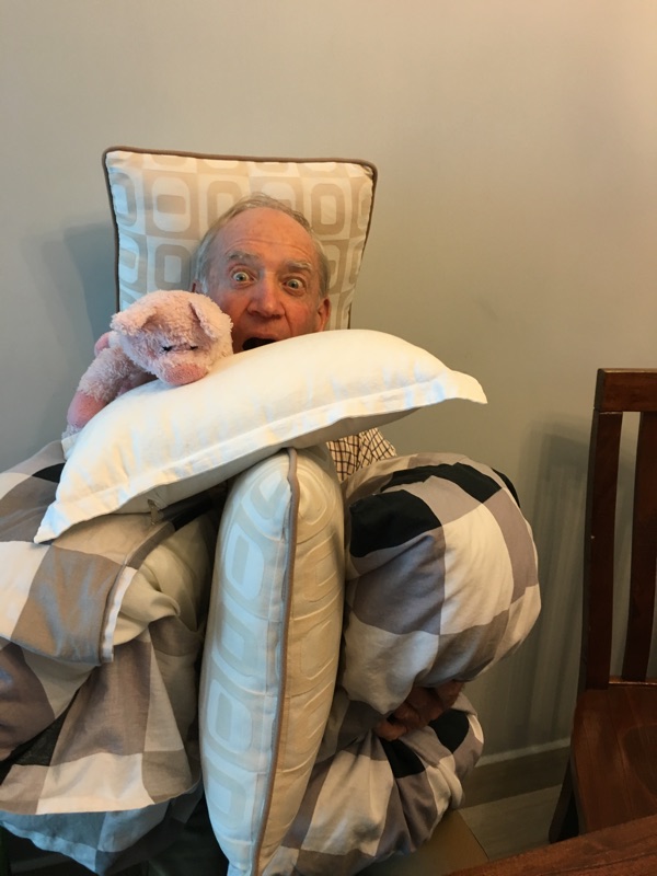 Dad peeking out from behind cushions with a toy pig